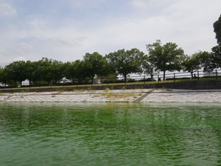 IMGP0011.jpg