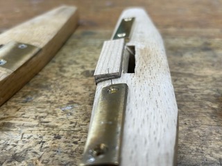 IMG_3534.jpg