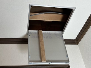 IMG_3736.jpeg