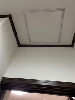 IMG_3742.jpeg