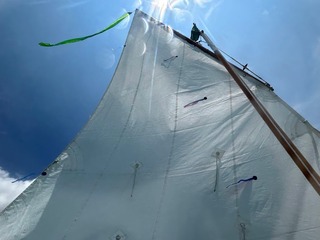IMG_3933.jpg