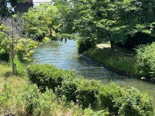 IMG_4115.jpg