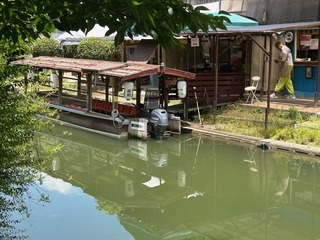 IMG_4156.jpg