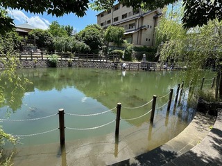 IMG_4181.jpg